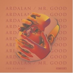 Ardalan Mr. Good (The Remixes) VINYL LP