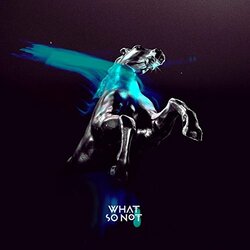 What So Not Not All The Beautiful.. Vinyl