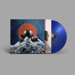 Little Dragon Slugs Of Love VINYL LP