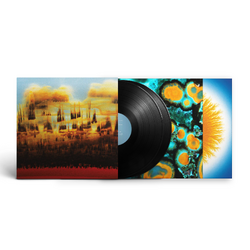 Bonobo Distance In Static VINYL LP