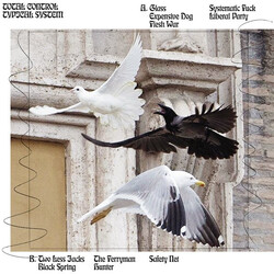 Total Control (13) Typical System Vinyl LP