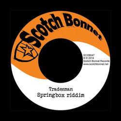 Tradesman Springbox Riddim Vinyl