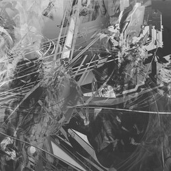 Richard Devine Sort\Lave Vinyl