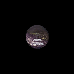Addison Groove Changa Remixes Vinyl