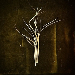 Lumisokea Mnemosyne Vinyl