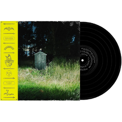 Carter,Frank & The Rattlesnakes Dark Rainbow VINYL LP