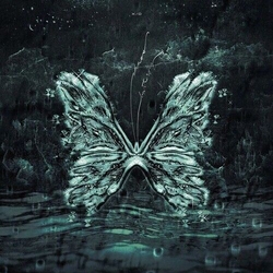 X O-Chaos Butterfly Vinyl
