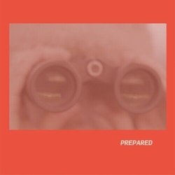 Laura J Martin Prepared - Rose Pink Vinyl (Uk) VINYL LP