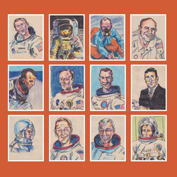 Darren Hayman 12 Astronauts Vinyl LP