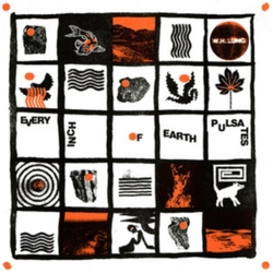 W.H.Lung Every Inch Of Earth Pulsates VINYL LP