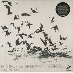 Hidden Orchestra Wingbeats
