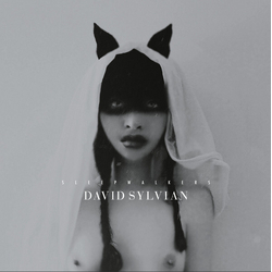 David Sylvian Sleepwalkers VINYL LP