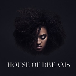 Naomi Pilgrim House Of Dreams Vinyl