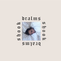Dralms Shook Vinyl