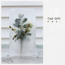 La Dispute Tiny Dots