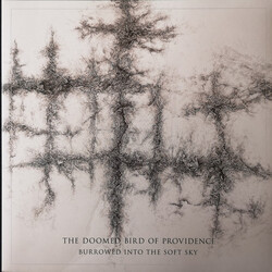 The Doomed Bird Of Providence Burrowed Into The Soft Sky