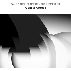 Bang / Duch / Honore / Toop / Wastell Wunderkammer VINYL LP