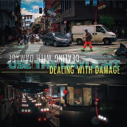 Dealing With Damage Use The Daylight VINYL LP