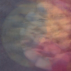 Kinbrae Cryptophasia VINYL LP