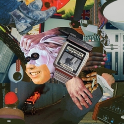 Madmadmad Behavioural Sink Delirium VINYL LP