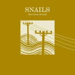 Snails Just Look Around VINYL LP