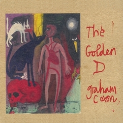 Graham Coxon The Golden D VINYL LP