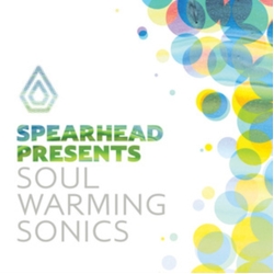 Various Artists Soul Warming Sonics VINYL LP