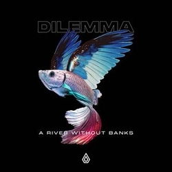 Dilemma A River Without Banks VINYL LP