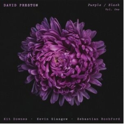David Preston Purple / Black Vol 1 (Uk) VINYL LP