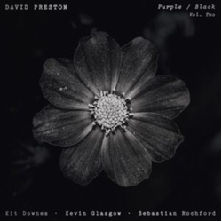 David Preston Purple/Black Volume 2 (Uk) VINYL LP