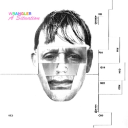 Wrangler A Situation Vinyl