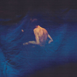 Blue Luminaire Terroir Vinyl LP