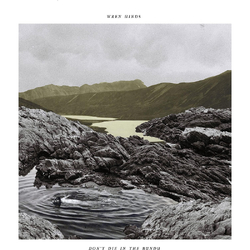 Wren Hinds Don'T Die In The Bundu VINYL LP