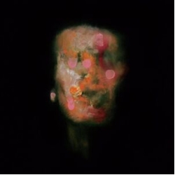 Lanterns On The Lake Versions Of Us VINYL LP