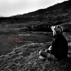 David Sylvian & Jon Hassell Alchemy: An Index Of Possibilities VINYL LP