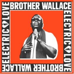 Brother Wallace Electric Love VINYL LP