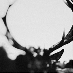 Ihsahn Ihsahn VINYL LP
