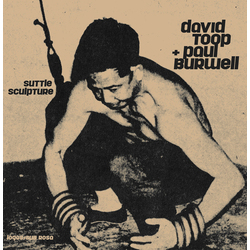 David Toop Suttle Sculpture Vinyl