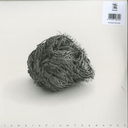 Various Flowers From The Ashes: Contemporary Italian Electronic Music