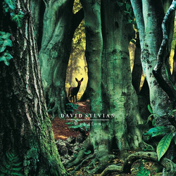 David Sylvian Manafon VINYL LP