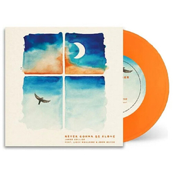 Jacob Collier Never Gonna Be Alone (Ita) VINYL LP