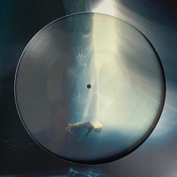 Ellie Goulding Higher Than Heaven (Ltd) (Pict) VINYL LP