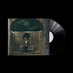 Dermot Kennedy Weight Of The Woods (Gate) VINYL LP