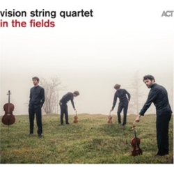 Vision String Quartet In The Fields VINYL LP