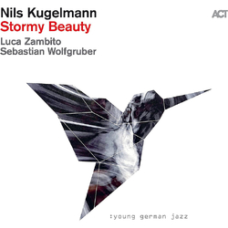 Nils Kugelmann Stormy Beauty VINYL LP