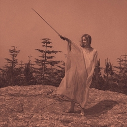 Unknown Mortal Orchestra Ii (10Th Anniversary Edition) VINYL LP