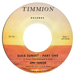 Jimi Tenor Gaia Sunset VINYL LP