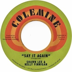 Shawn Lee & Kelly Finnigan-Say It Again Harpsichord Rock VINYL LP