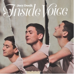 Joey Dosik Inside Voice VINYL LP