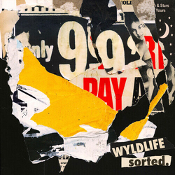 Wyldlife Sorted. VINYL LP